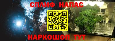 сатива Коммунар