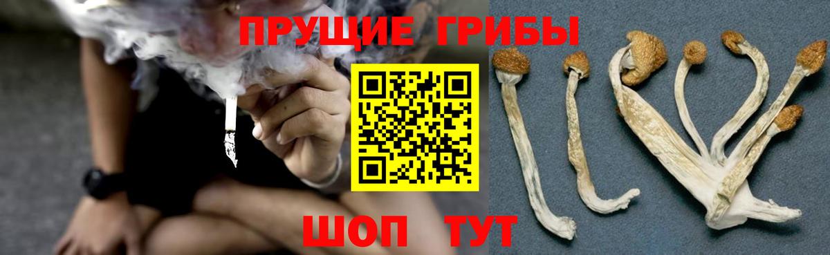 Галлюциногенные грибы Magic Shrooms Клинцы