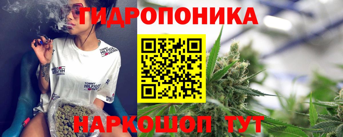 Бошки марихуана White Widow  Канабис марихуана  Вход с VPN  Клинцы 